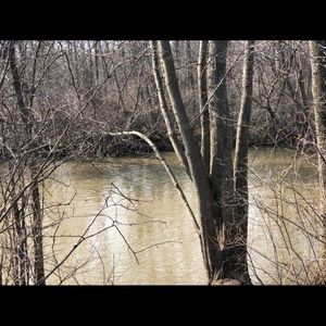 Meet your Posher, Madeline